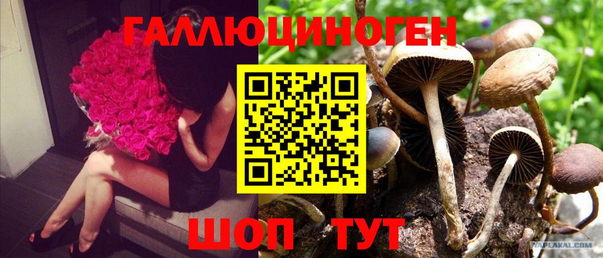 Галлюциногенные грибы ЛСД Лыткарино