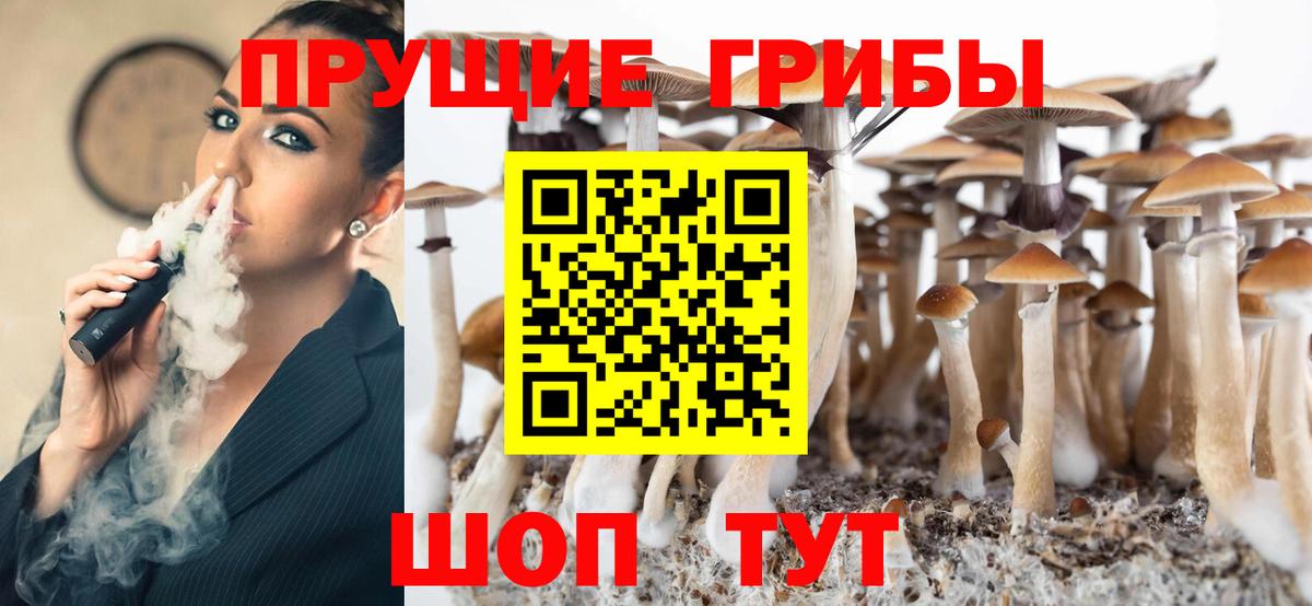 Лыткарино  Галлюциногенные грибы MAGIC MUSHROOMS  Вход с VPN 